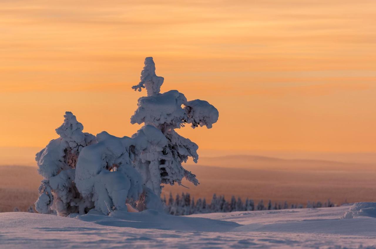 Talo Yllaes Villa Äkäslompolo Kültér fotó